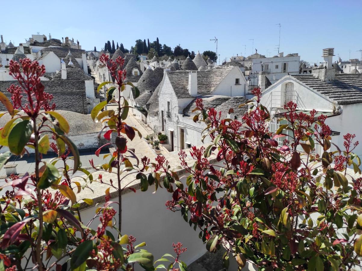 Nou La Tua Casa In Puglia Lejlighed Alberobello Eksteriør billede